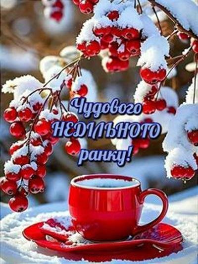 Неділя зима