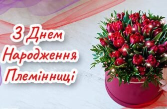 Привітання Племінниці з Днем Народження