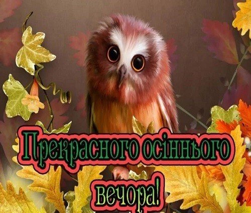 Осінній Вечір 13