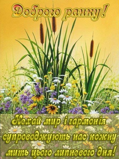Гарного липневого ранку