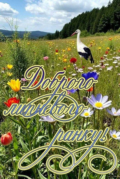 Липень ранок