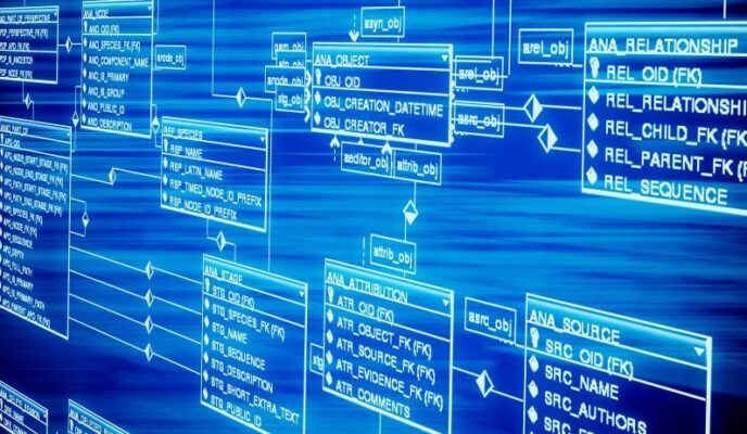 Що таке реляційні бази даних: логіка порядку в цифровому хаосі