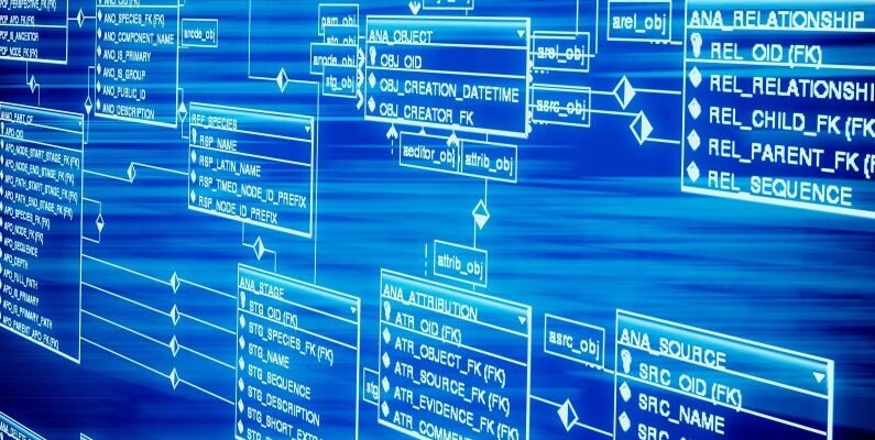 Що таке реляційні бази даних: логіка порядку в цифровому хаосі