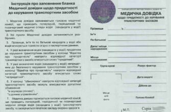 Медична довідка водія: як отримати форму 083/о