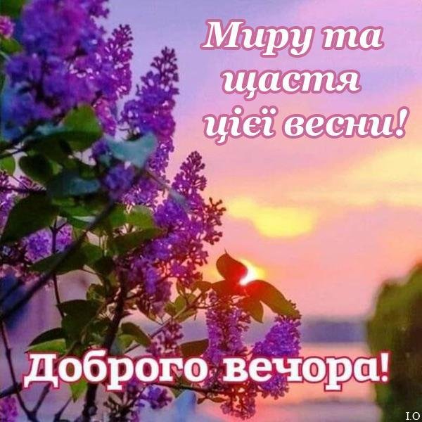 Доброго весняного вечора – картинки