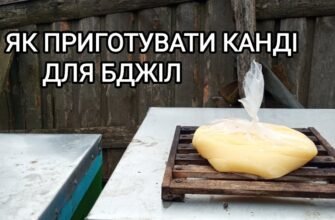 Як приготувати сироп для бджіл: покрокова інструкція та поради