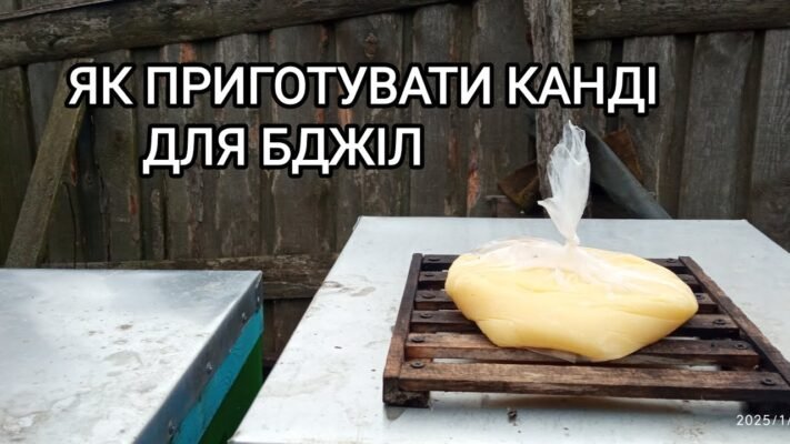 Як приготувати сироп для бджіл: покрокова інструкція та поради Як приготувати сироп для бджіл: покрокова інструкція та поради