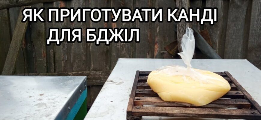 Як приготувати сироп для бджіл: покрокова інструкція та поради